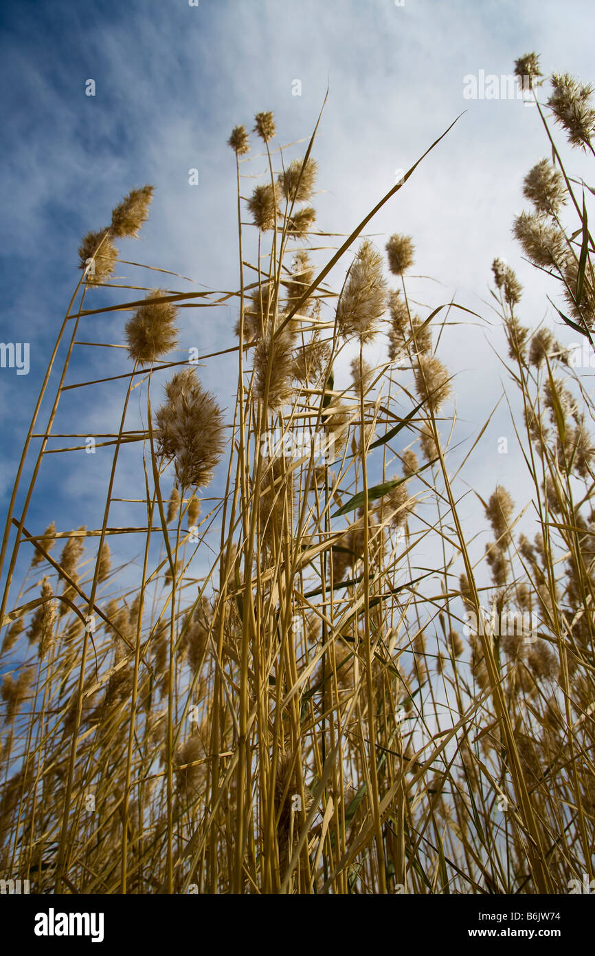 Cocoa tuohai national geopark hi-res stock photography and images - Alamy
