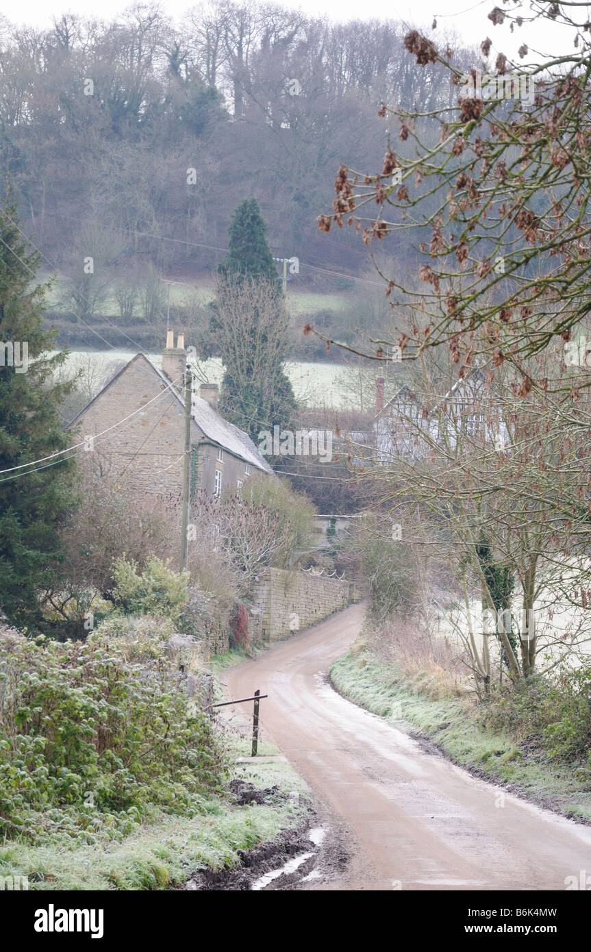 Frosty Lane in the Cotswolds Stock Photo Alamy