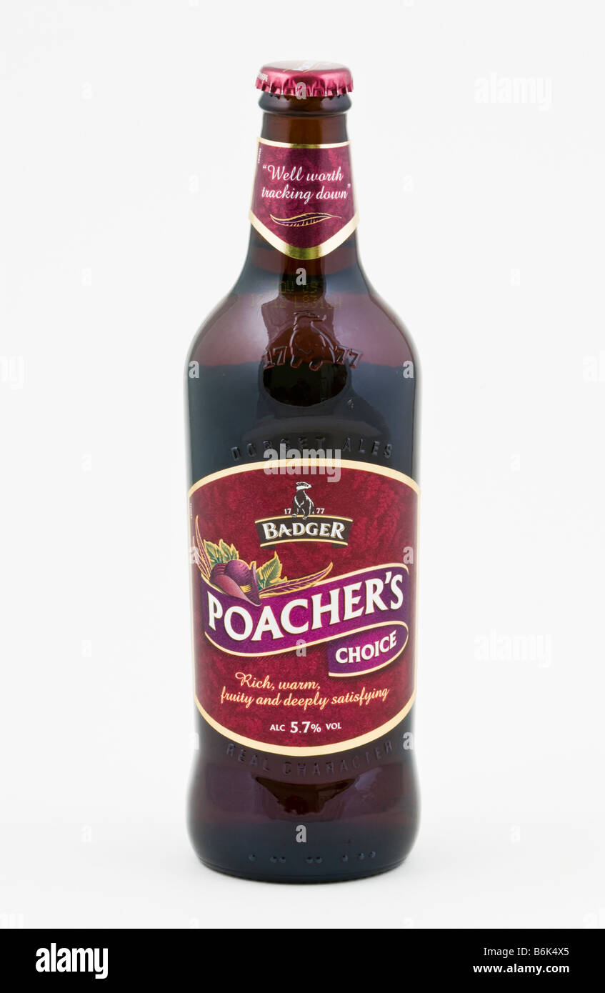 Bottle of Poachers Choice rich ruby ale brewed at Hall and Woodhouse Blandford St Mary Dorset England UK Stock Photo