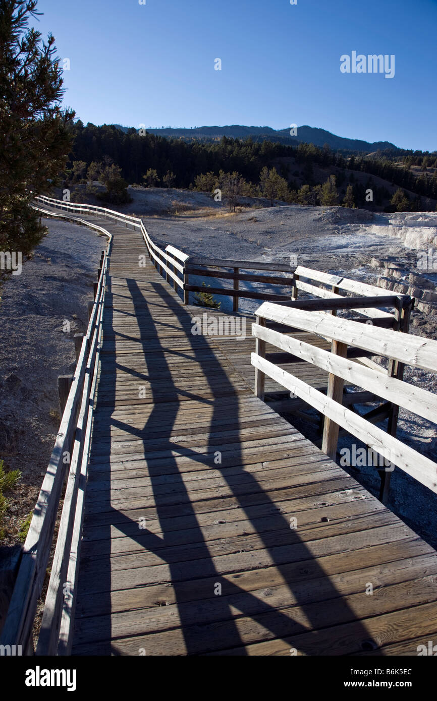 Boardwalk at Mammoth Hot Springs, Yellowstone National Park; Wyoming; USA; Stock Photo