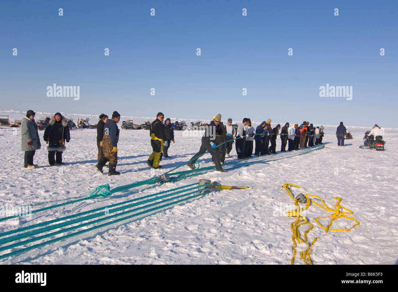 Using a block and tackle pulley system residents of the Inupiaq village of Barrow Alaska assist subsistence whalers in pulling Stock Photo