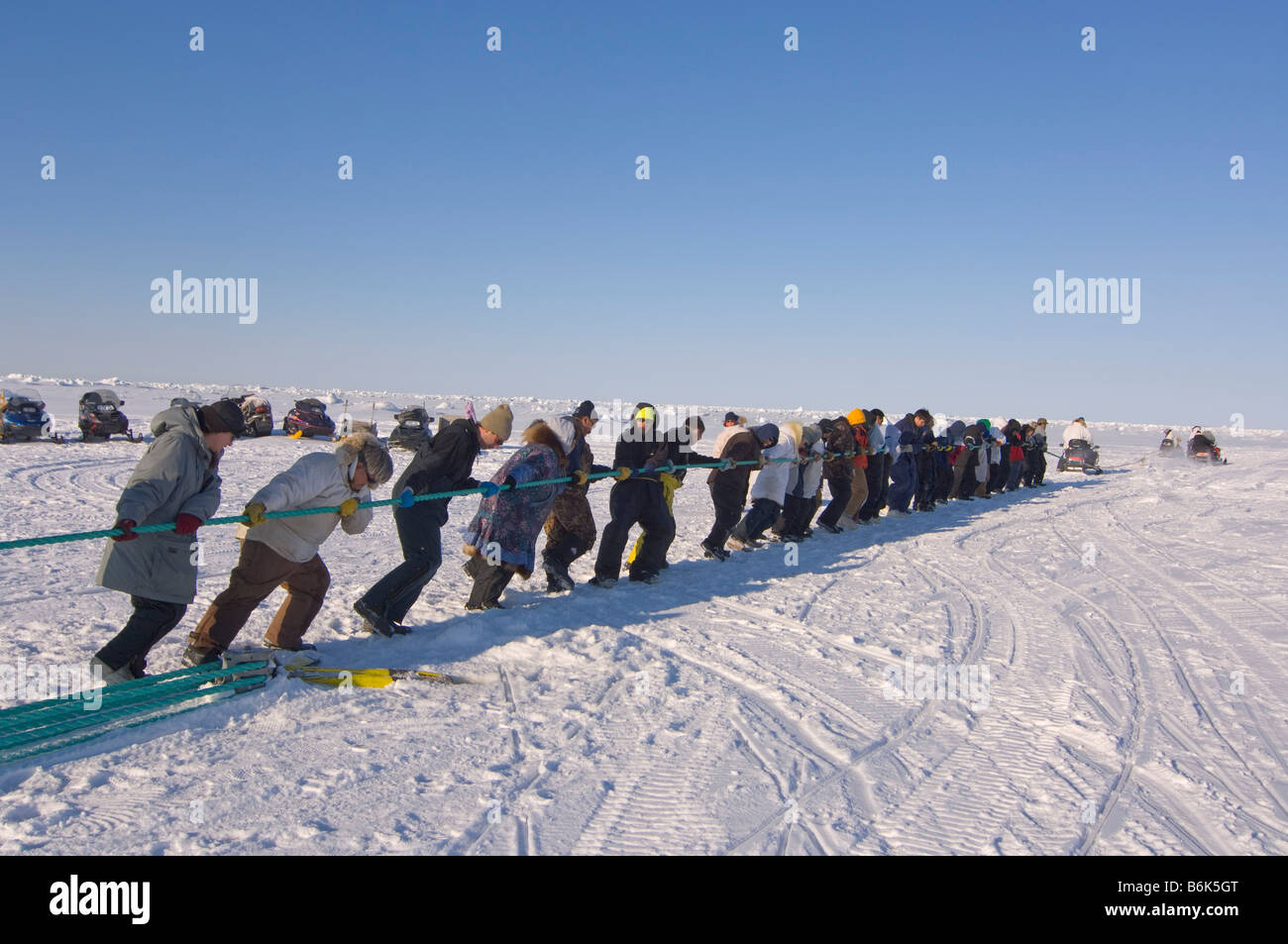 Using a block and tackle pulley system residents of the Inupiaq village of Barrow Alaska assist subsistence whalers in pulling Stock Photo