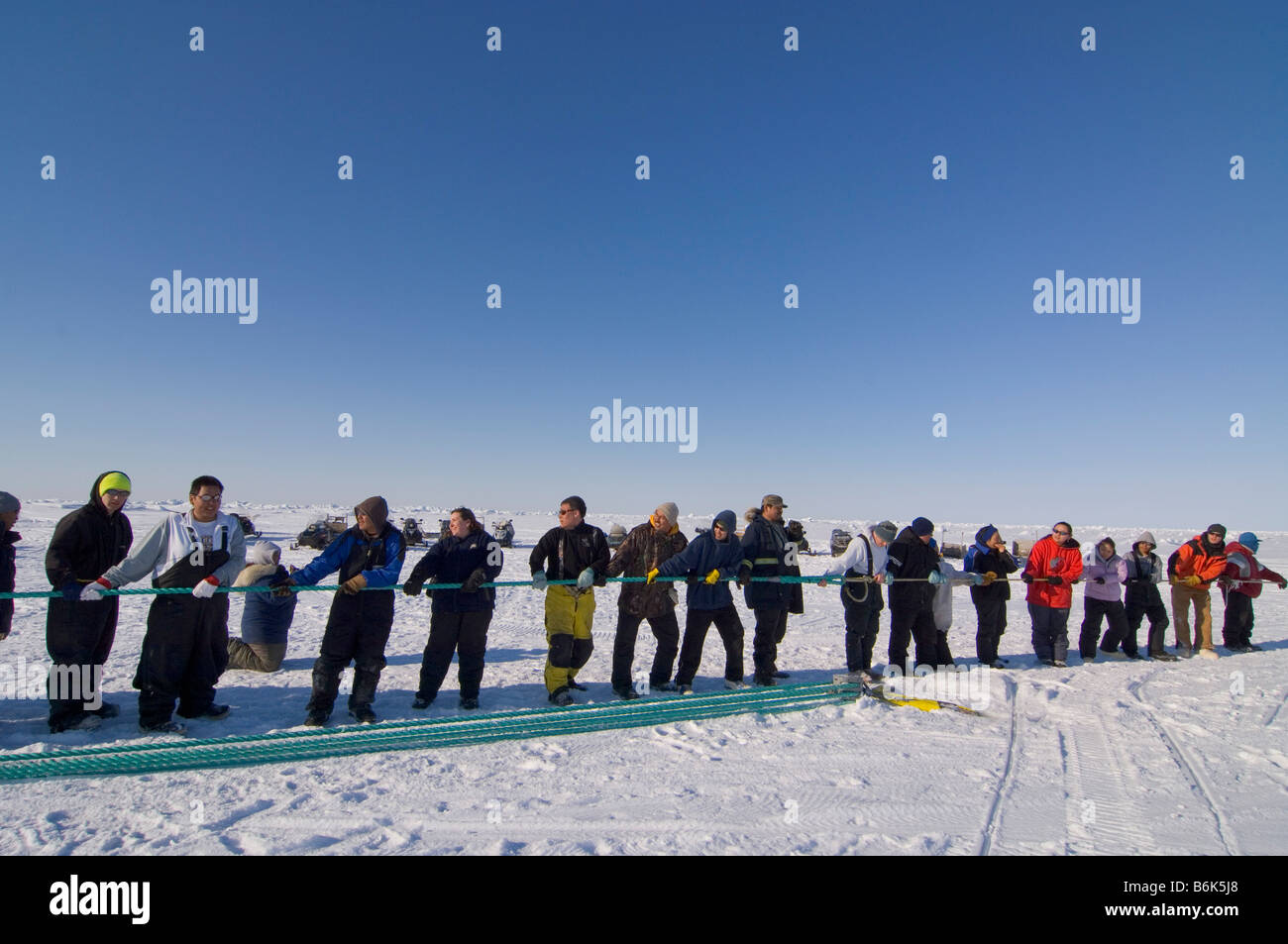 Using a block and tackle pulley system residents of the Inupiaq village of Barrow Alaska assist subsistence whalers in pulling Stock Photo