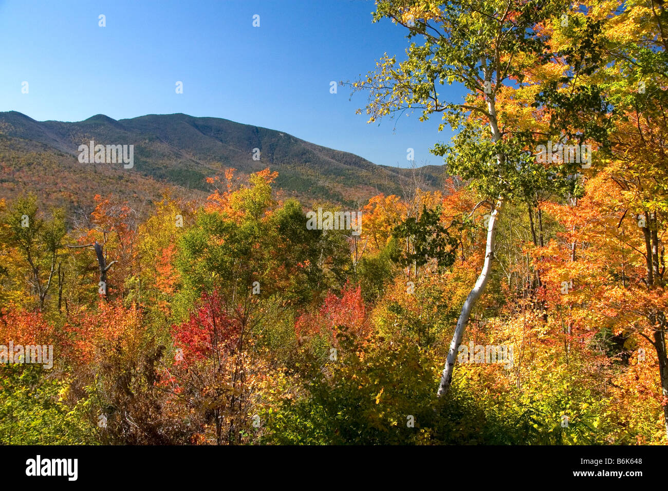 Scenic view of fall foliage in the Franconia Notch State Park New