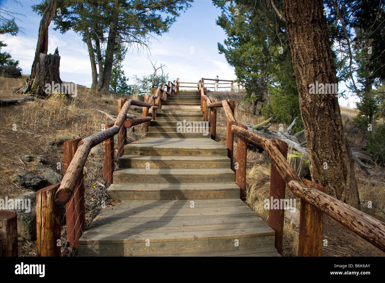 Stairs to an overlook of the Grand Canyon of the Yellowstone, Yellowstone River, Yellowstone National Park, Wyoming, USA Stock Photo