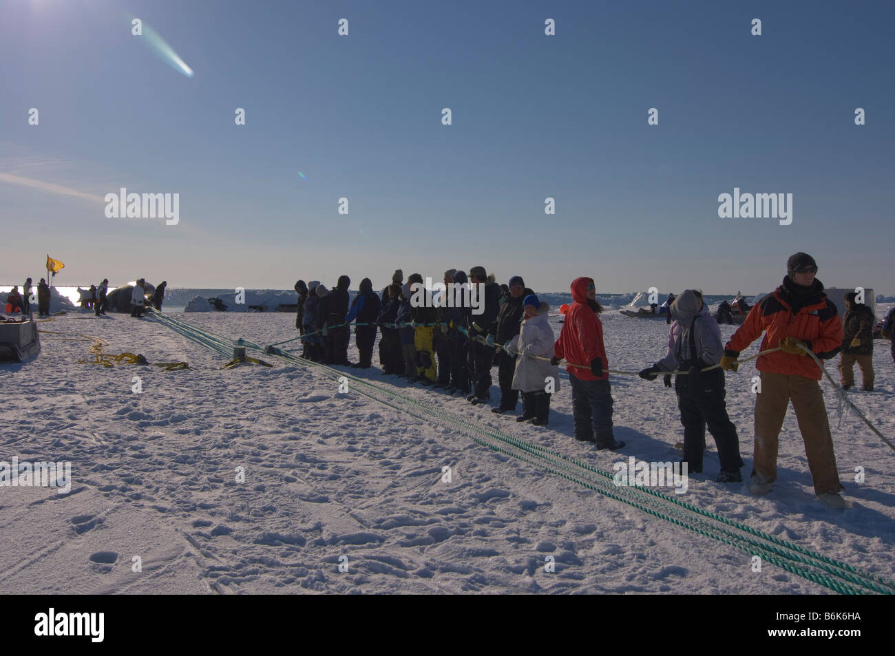 Using a block and tackle pulley system residents of the Inupiaq village of Barrow Alaska assist subsistence whalers in pulling Stock Photo