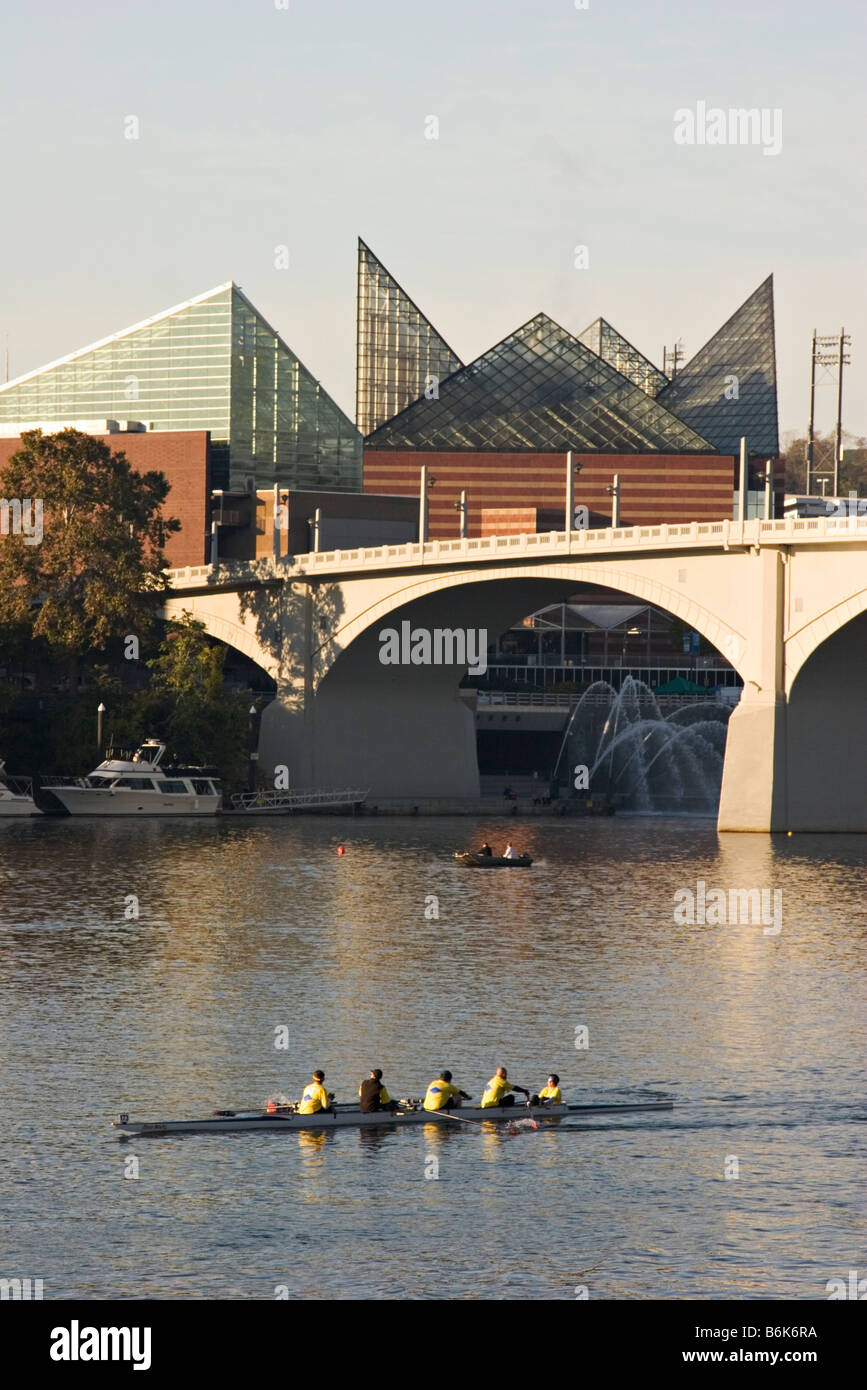 A sculling team on the Tennessee River at Chattanooga The Tennessee aquarium is in the background Stock Photo