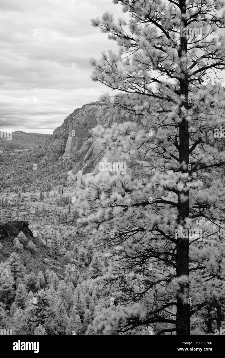 South Guardian Angel Mountain View Zion National Park Stock Photo