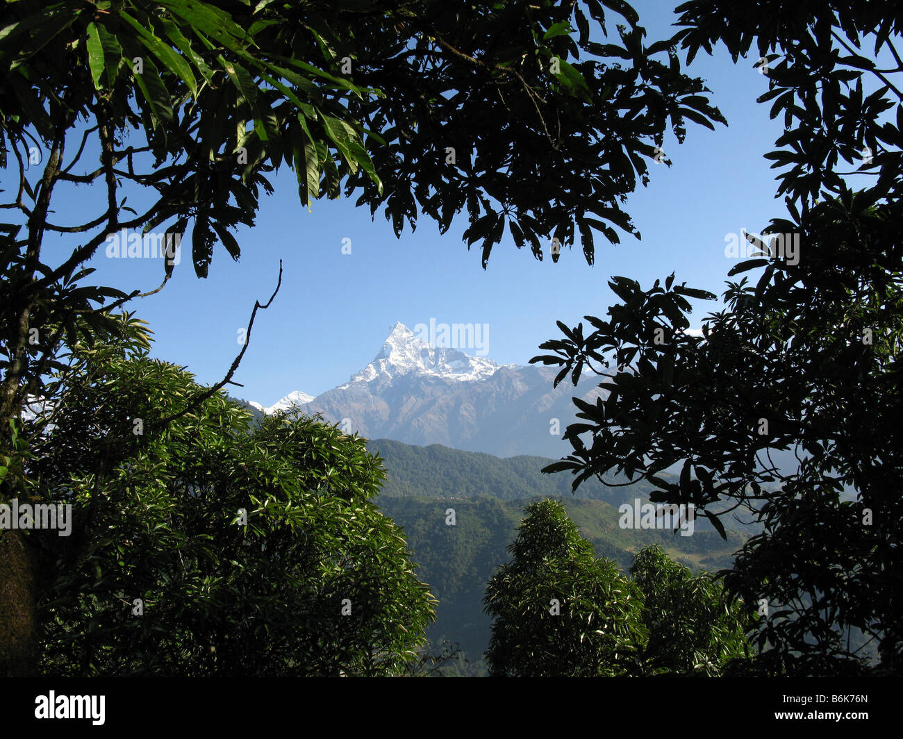 Machapuchare (Fishtail) mountain seen from between Pothana and Dhampus, Annapurna foothills, Gandaki, Himalayas, Nepal, Asia Stock Photo