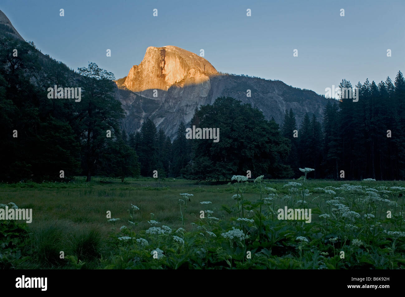 CALIFORNIA - Sunset on Half Dome from Leidig Meadow in Yosemite National Park. Stock Photo