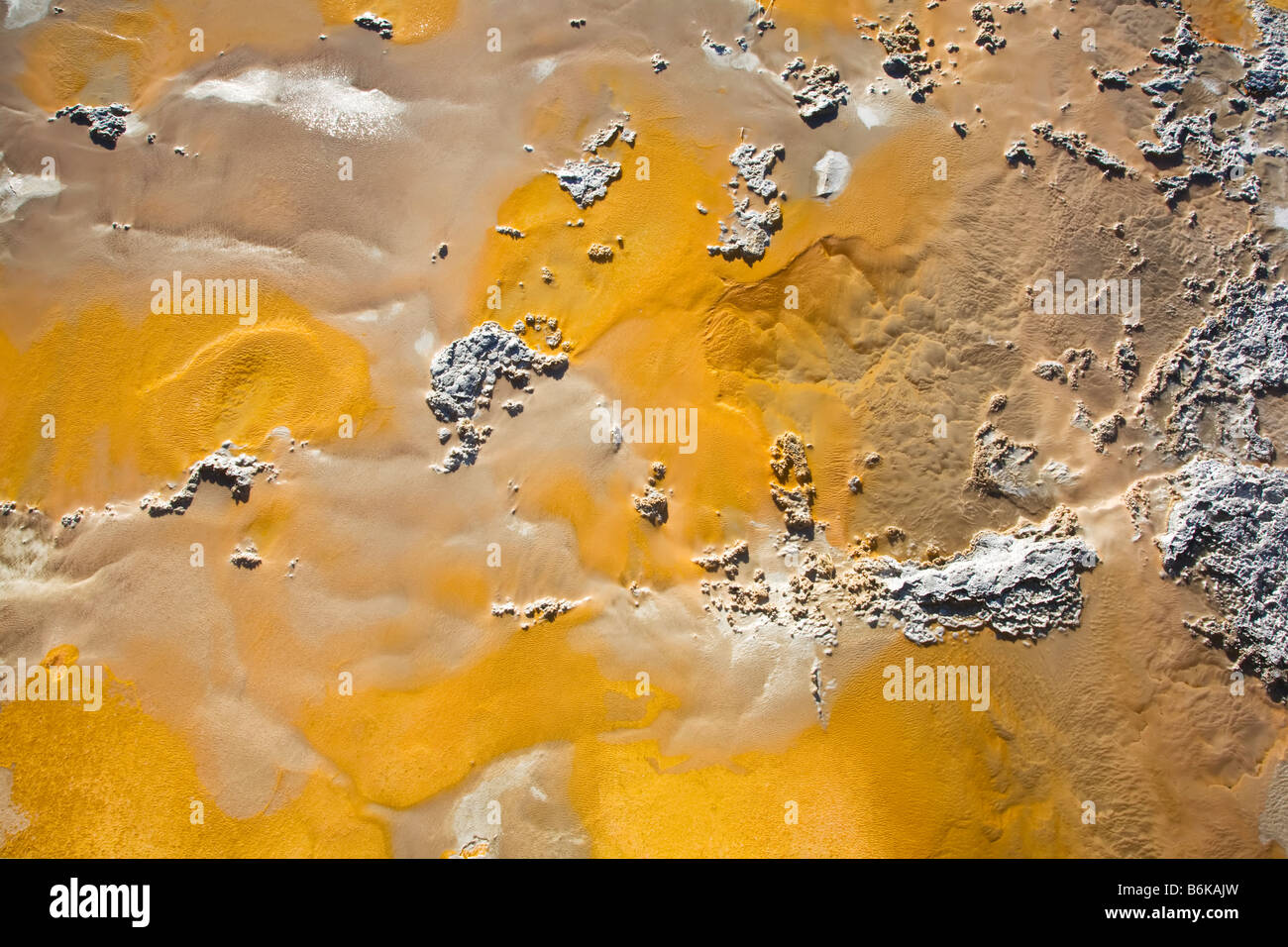 Thermopile bacterial mat Stock Photo