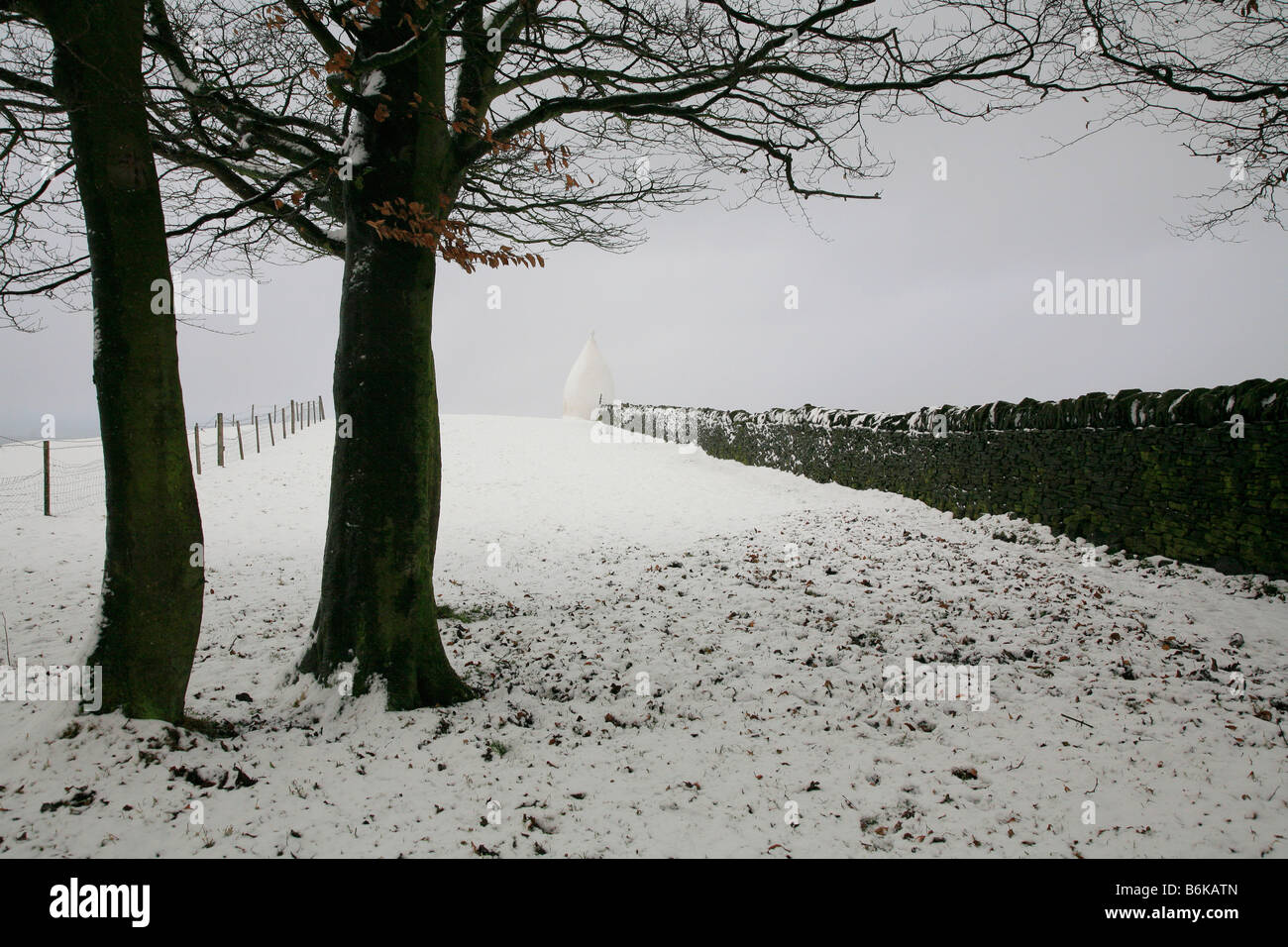 White nancy hi-res stock photography and images - Alamy
