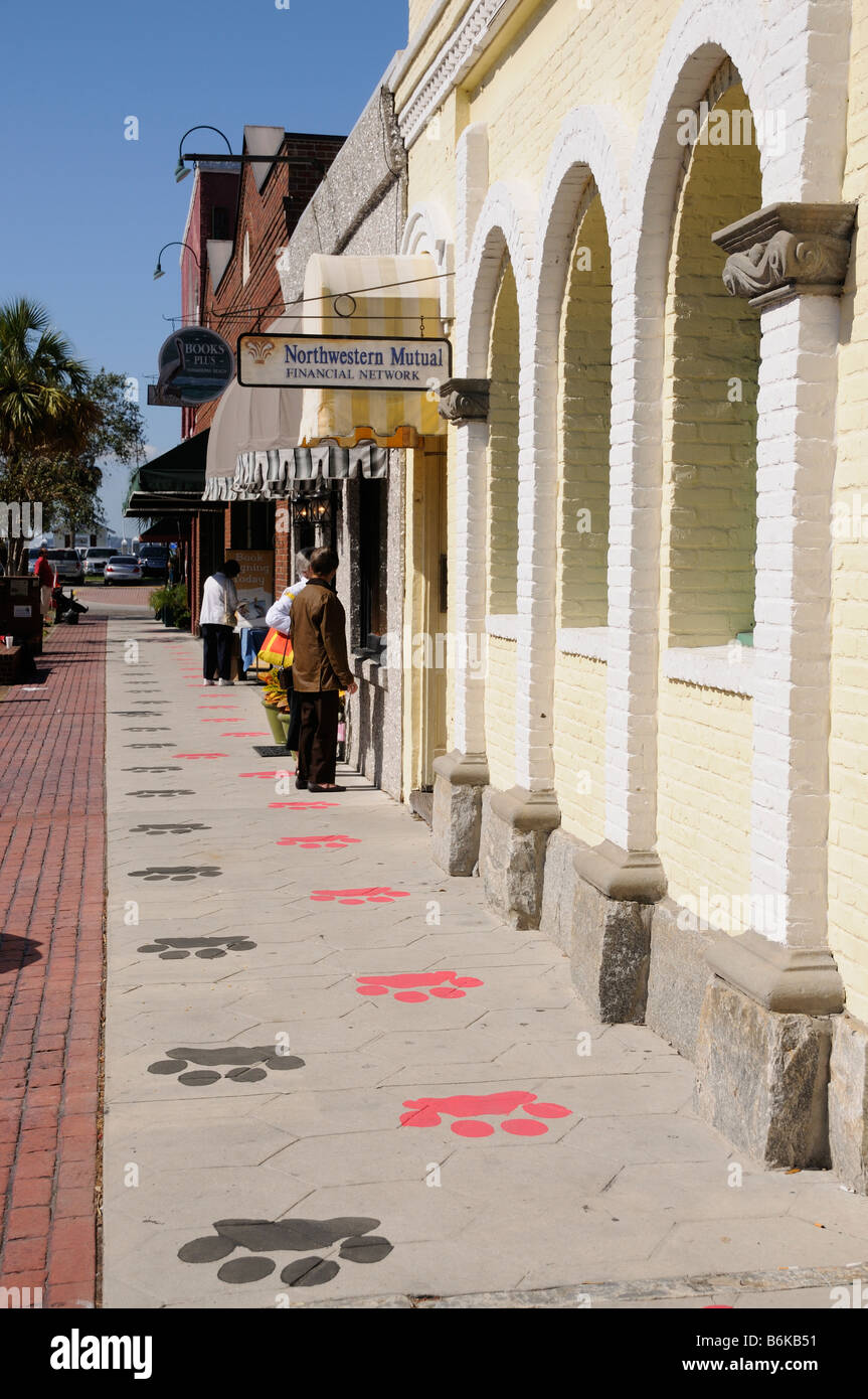 Paw marks form a trail along the sidewalk in Fernandina Beach resort Florida USA Stock Photo