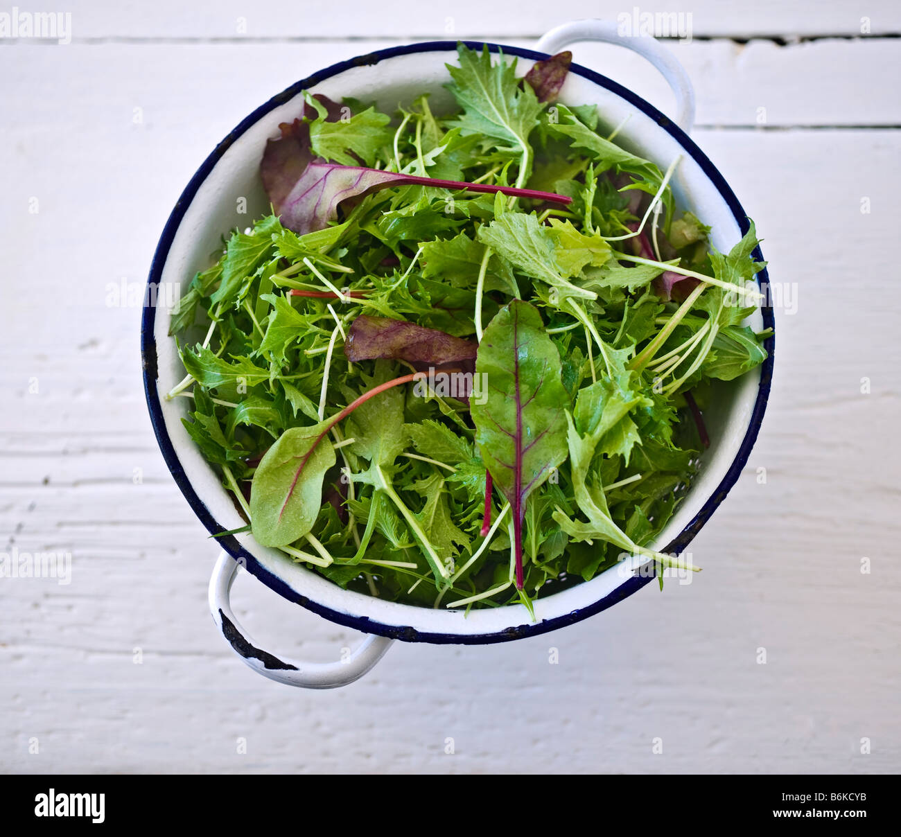 Plastic Large Salad Spinner Leaf Dryer Lettuce Veg Drainer Dressing Herb  WayuS*