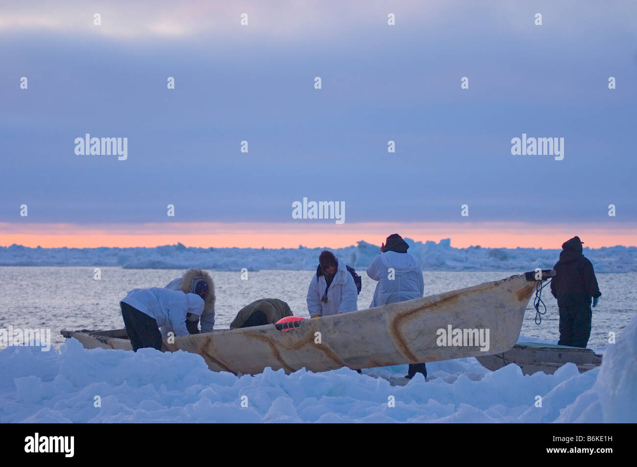 Seal hunter pulling hires stock photography and images Alamy