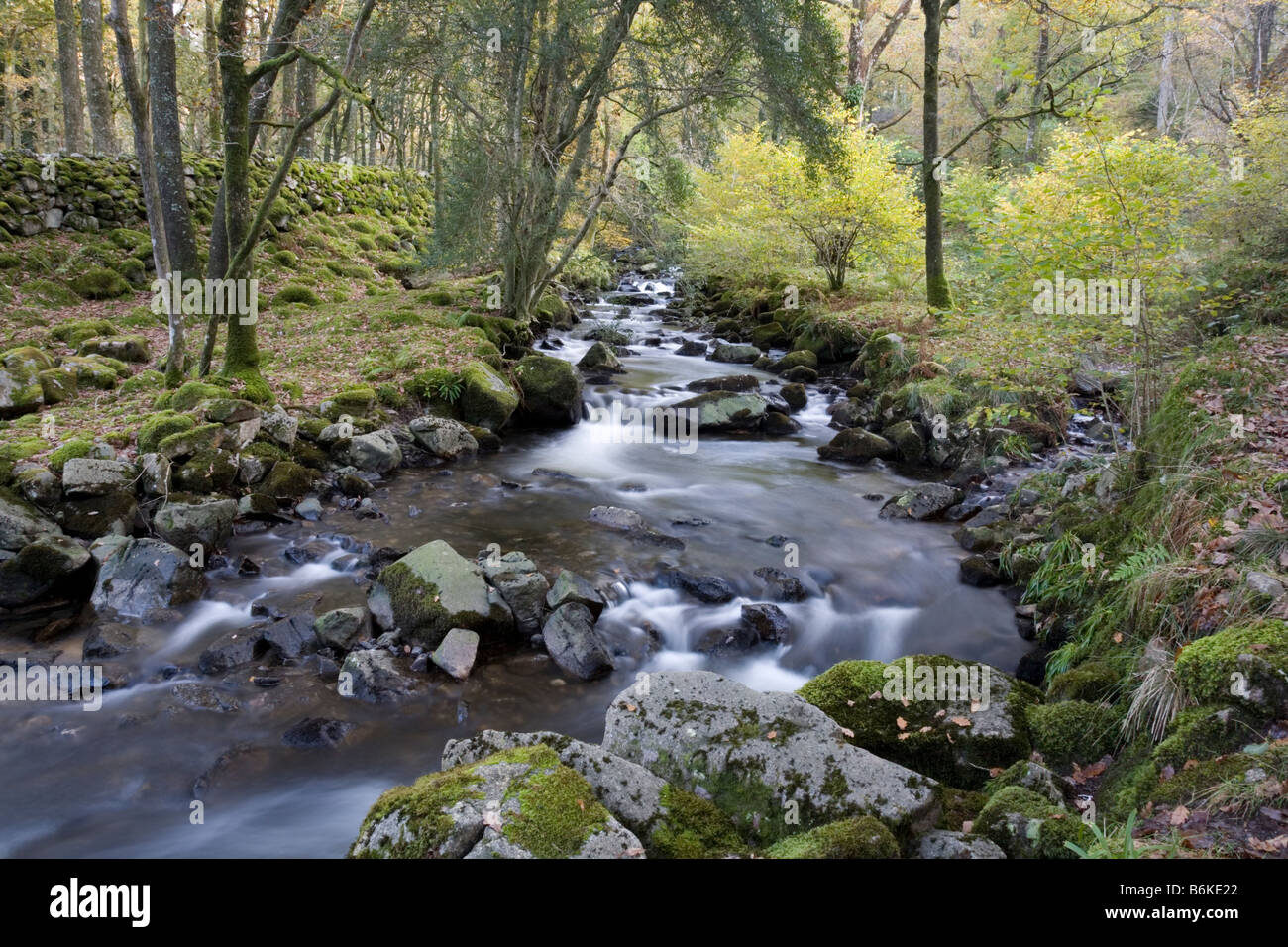 Stanley Ghyll flowing down into the River Esk Cumbria Stock Photo
