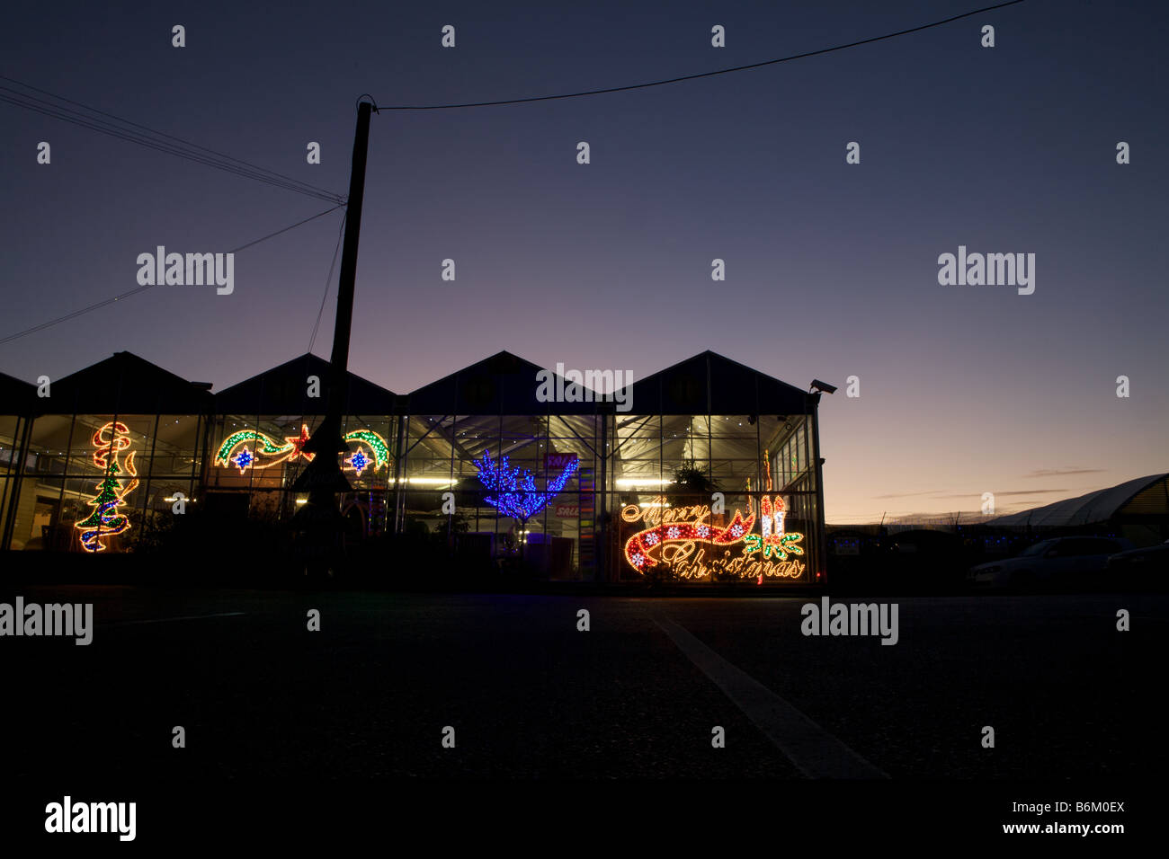 Christmas lights in a garden centre lit at dusk spelling the words