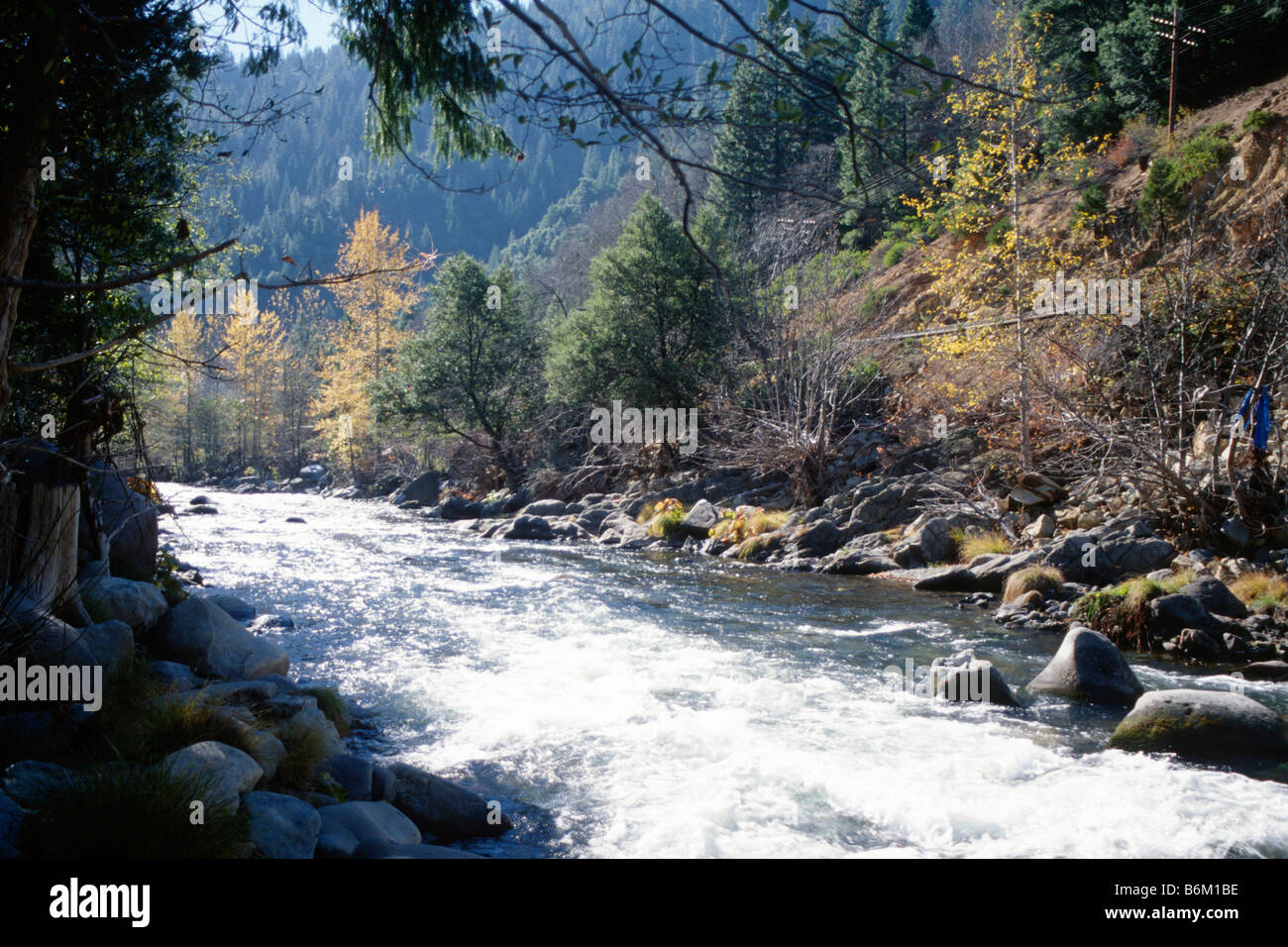 The Sacramento River alongside Dunsmuir City Park, California Stock