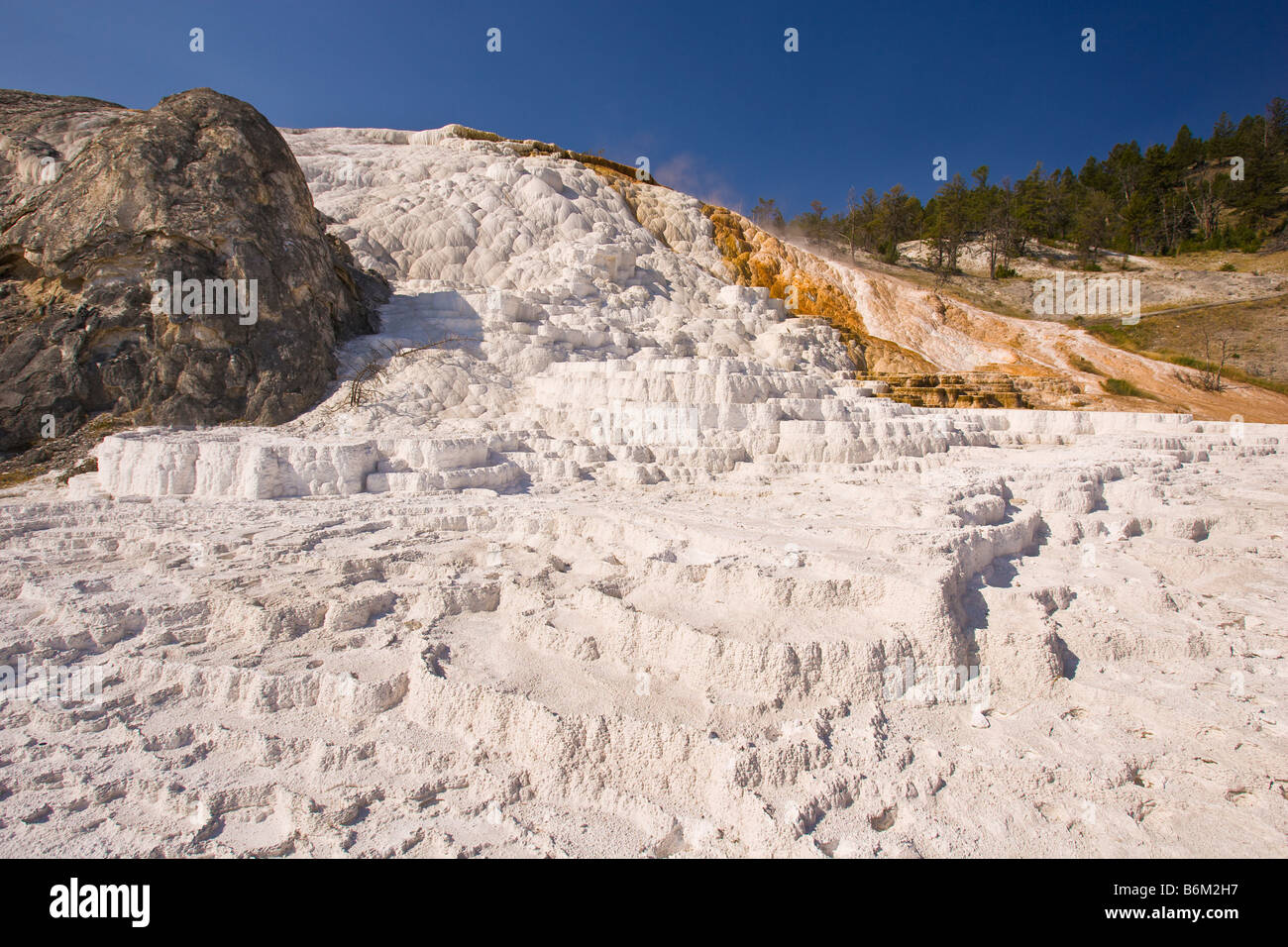 YELLOWSTONE NATIONAL PARK WYOMING USA Palette Spring area Mammoth Hot Spring Terraces Stock Photo