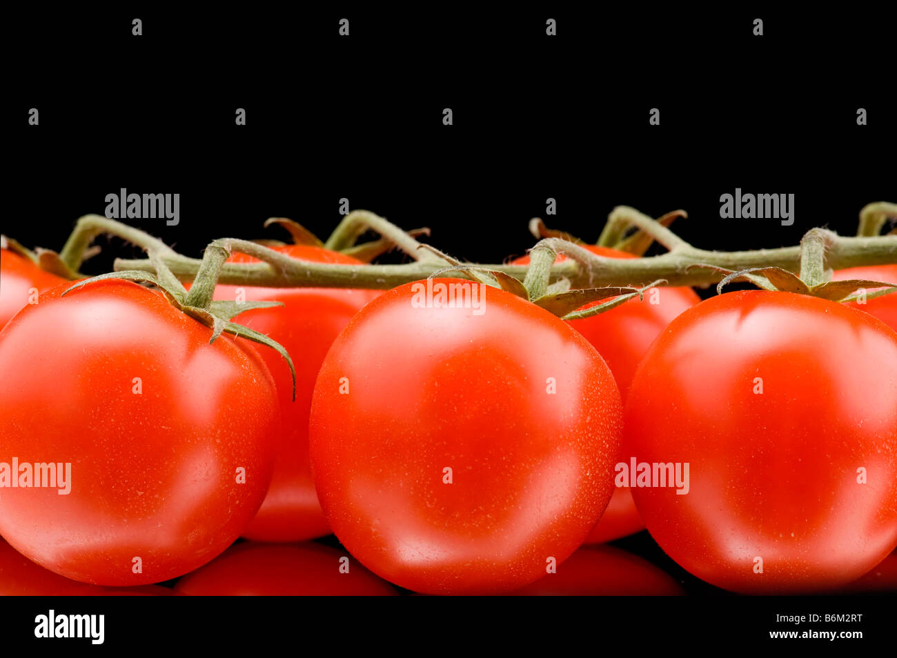 object on black food tomato macro Stock Photo