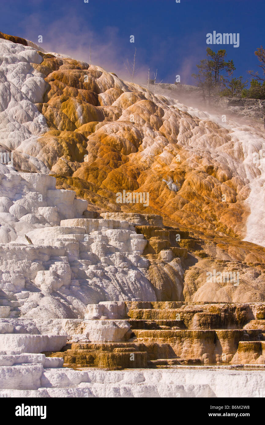 YELLOWSTONE NATIONAL PARK WYOMING USA Palette Spring area Mammoth Hot Spring Terraces Stock Photo