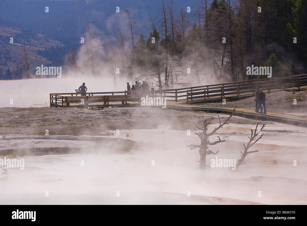 YELLOWSTONE NATIONAL PARK WYOMING USA - Tourists and geothermic steam rising from Main Terraces area Mammoth Hot Springs Stock Photo