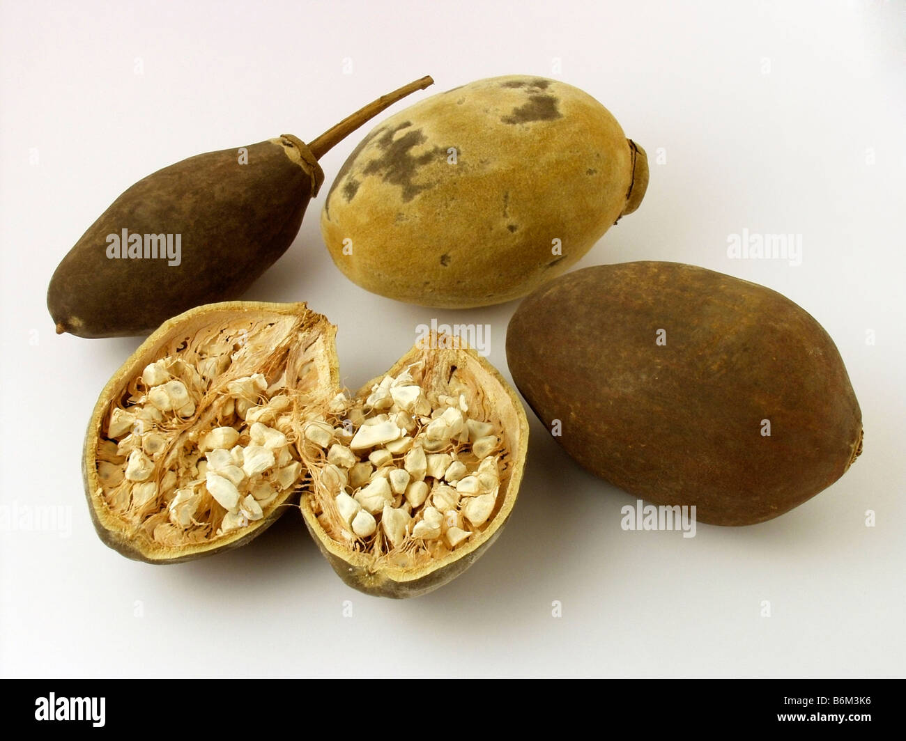 Baobab Tree Fruit Stock Photo Alamy