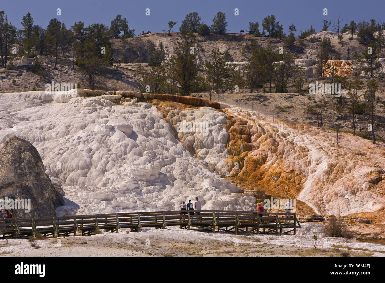 YELLOWSTONE NATIONAL PARK, WYOMING, USA - Tourists on boardwalk at Palette Spring area, Mammoth Hot Springs Terraces Stock Photo