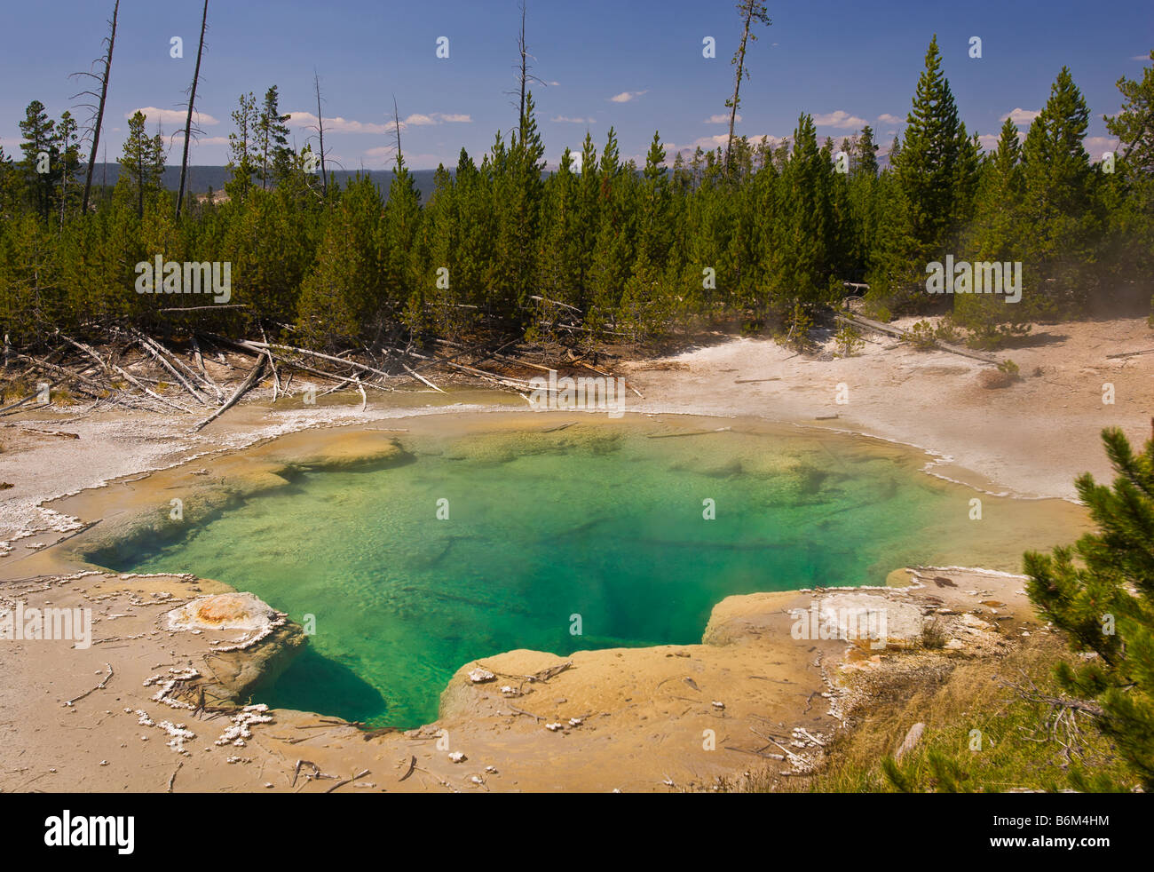 YELLOWSTONE NATIONAL PARK WYOMING USA Geothermic activity at Emerald Spring Norris Geyser Basin Stock Photo