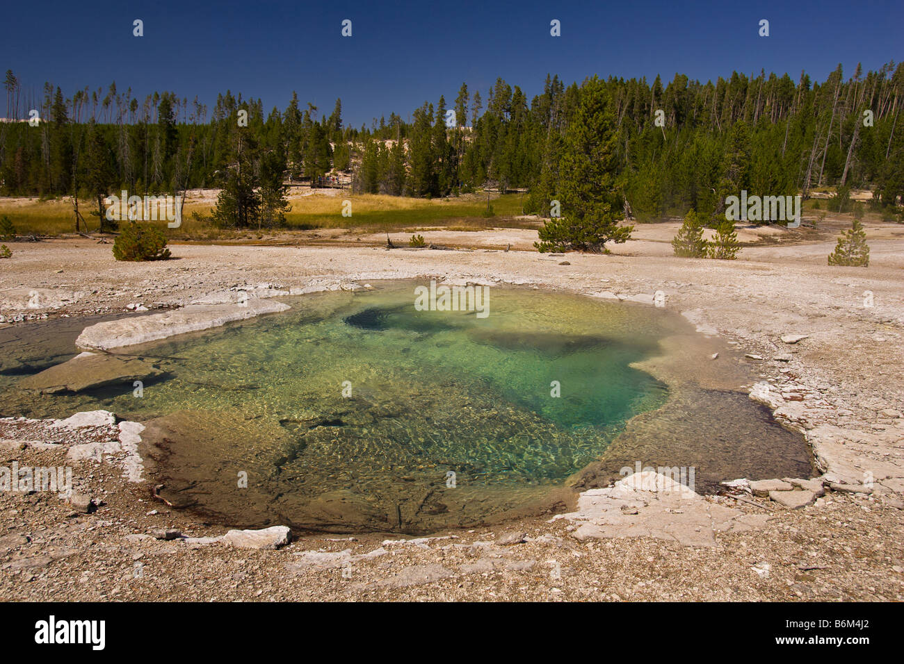 YELLOWSTONE NATIONAL PARK WYOMING USA - Geothermic activity at Crater Spring, in the Norris Geyser Basin Stock Photo