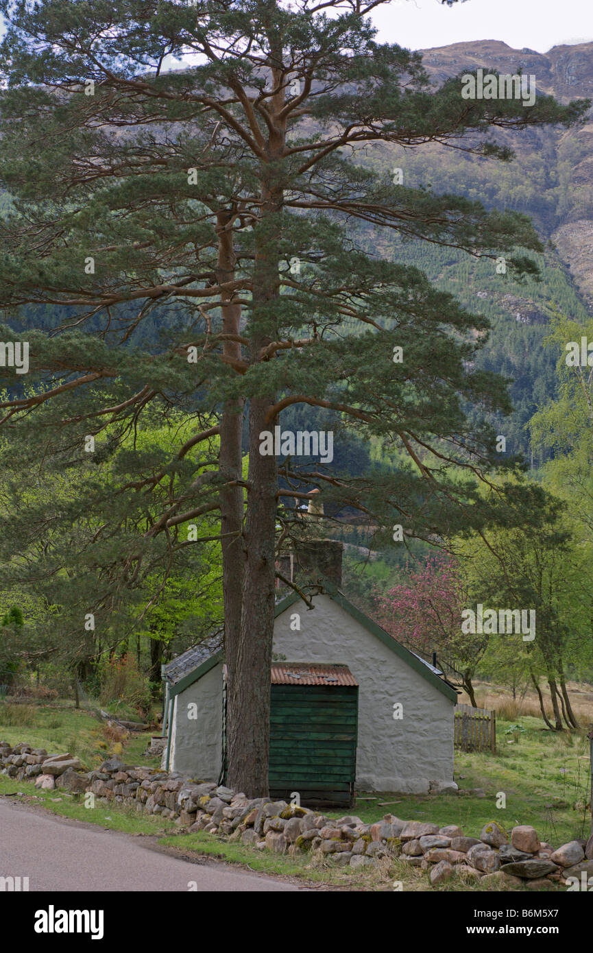 Cottage Glen Nevis Fort William Highland Region Scotland April