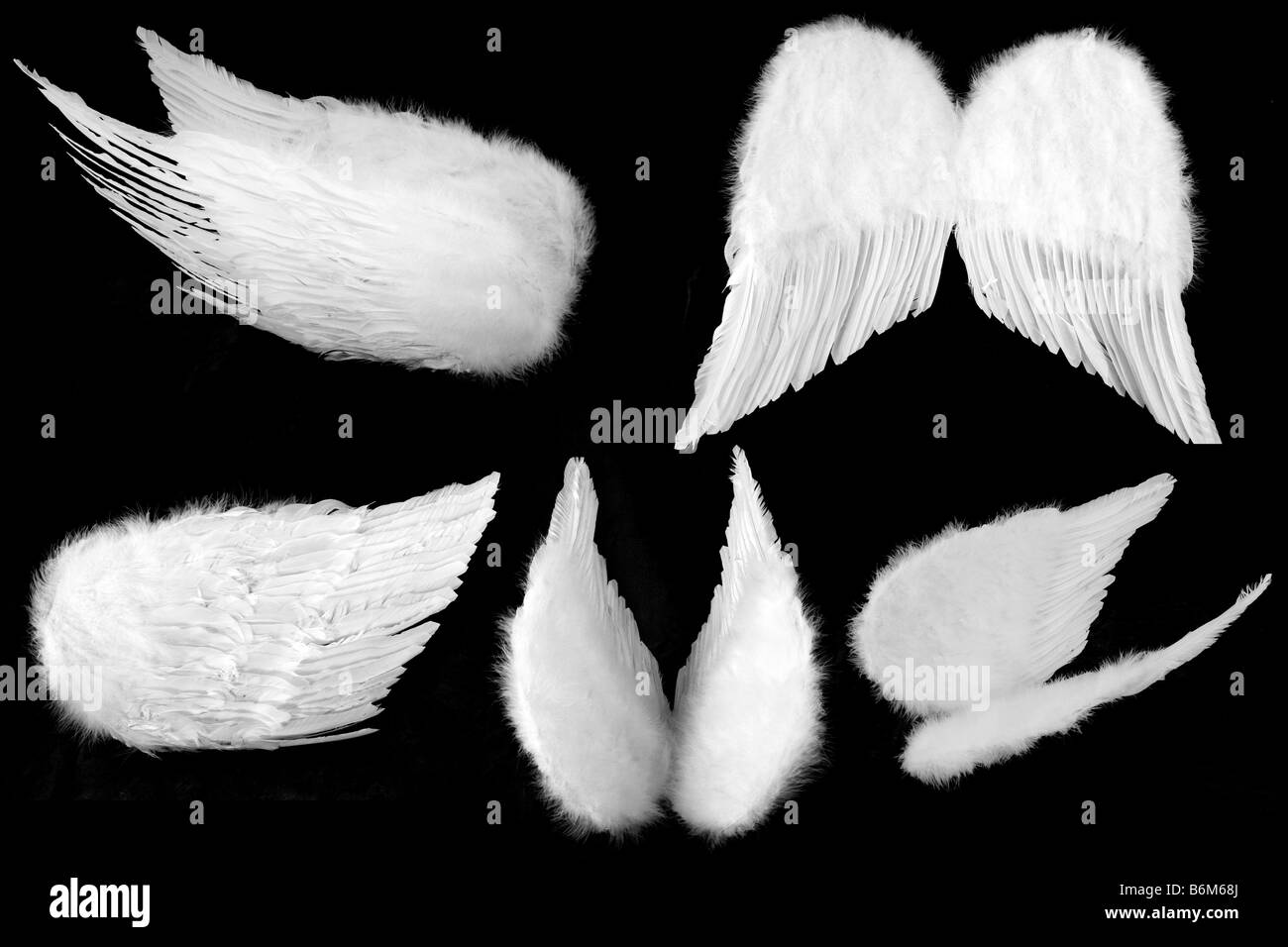 Many Angles of White Guardian Angel Wings Isolated on Black Easily Extracted Stock Photo