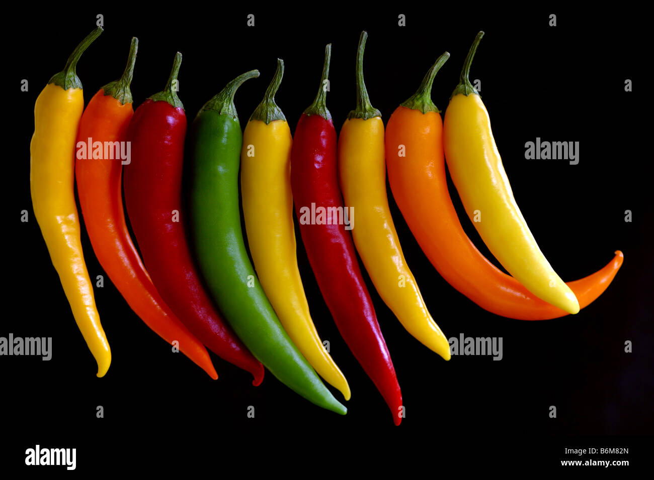 Brightly colored chili peppers on black background Stock Photo - Alamy