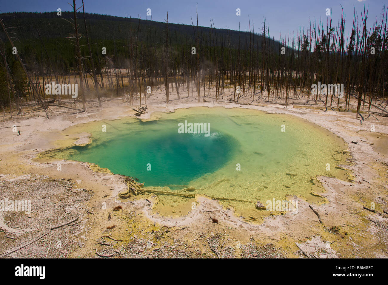 YELLOWSTONE NATIONAL PARK WYOMING USA - Geothermic activity at Emerald Spring, in the Norris Geyser Basin Stock Photo