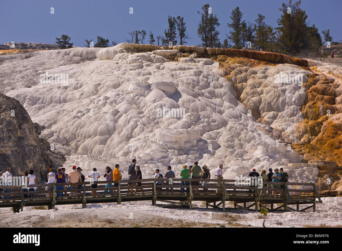 YELLOWSTONE NATIONAL PARK, WYOMING, USA - Tourists on boardwalk at Palette Spring area, in the Mammoth Hot Springs Terraces Stock Photo