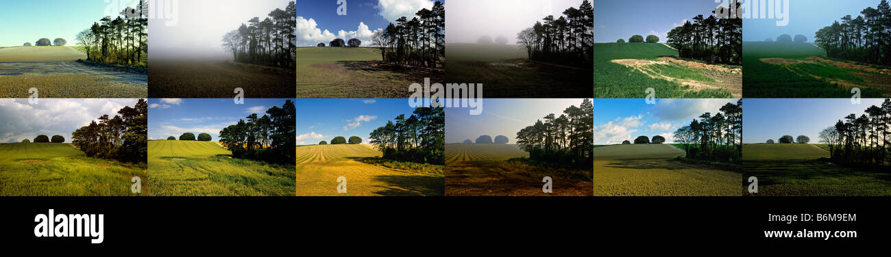 Multiple x12 month horizontal montage - The Ancient Ridgeway, Wiltshire ...