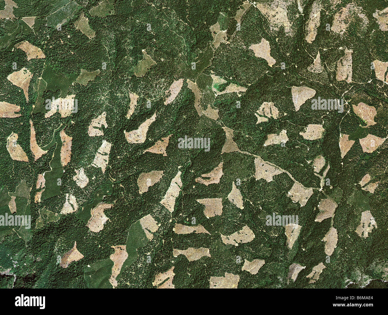 aerial map forest clear cutting El Dorado county California Stock Photo