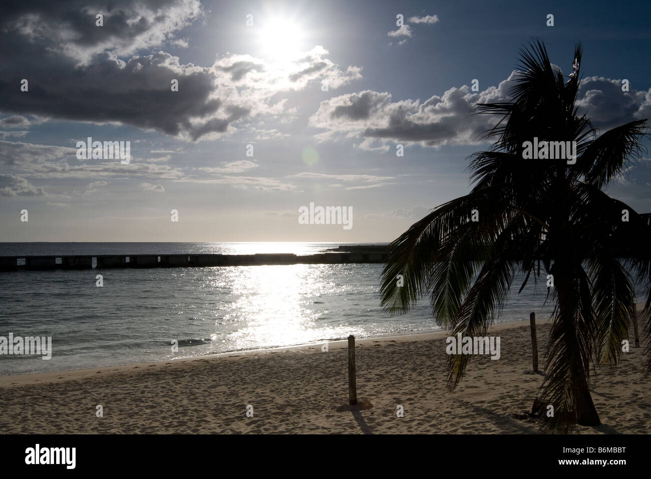 Beach and Palm Tree at Playa Giron Resort Bay of Pigs Cuba December 2008 Stock Photo