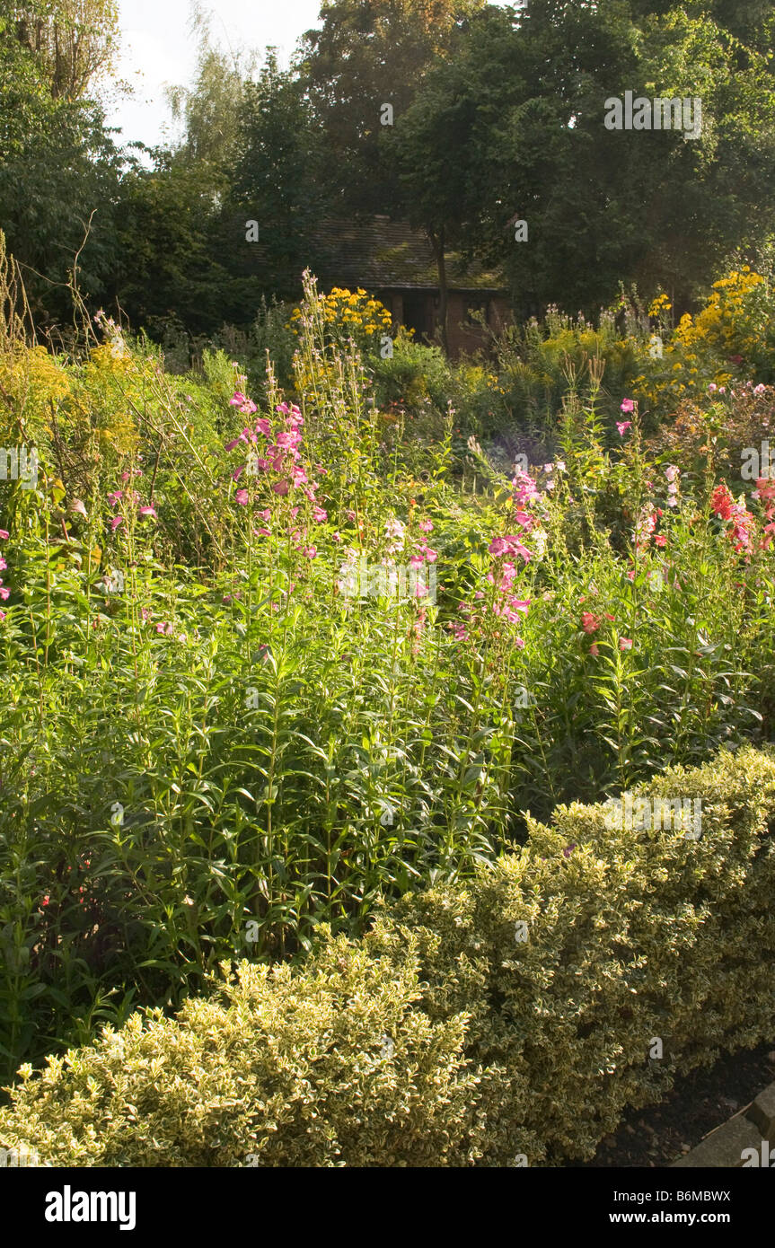garden with wild flowers Stock Photo - Alamy