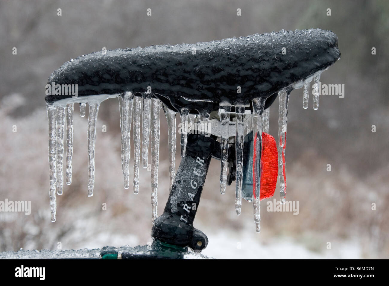 Ice storm, freezing rain, New England winter, New Hampshire. Stock Photo