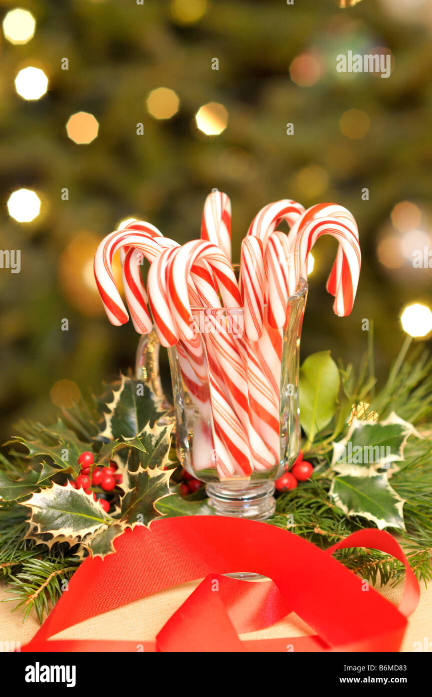 Glass full of candy canes with holly red berries red ribbon and ...