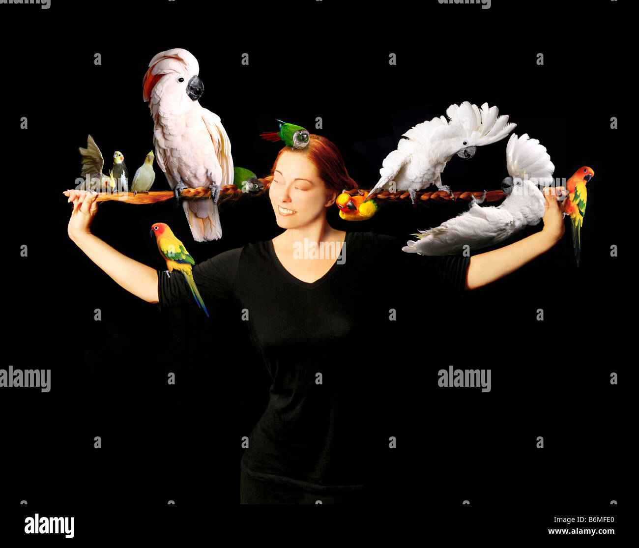 Woman Who Has Multiple Exotic Birds in Her Very Long Red Hair Stock Photo