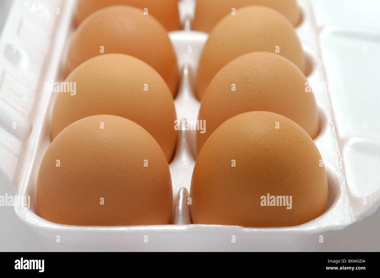 Close up of Brown Eggs in Carton Stock Photo Alamy