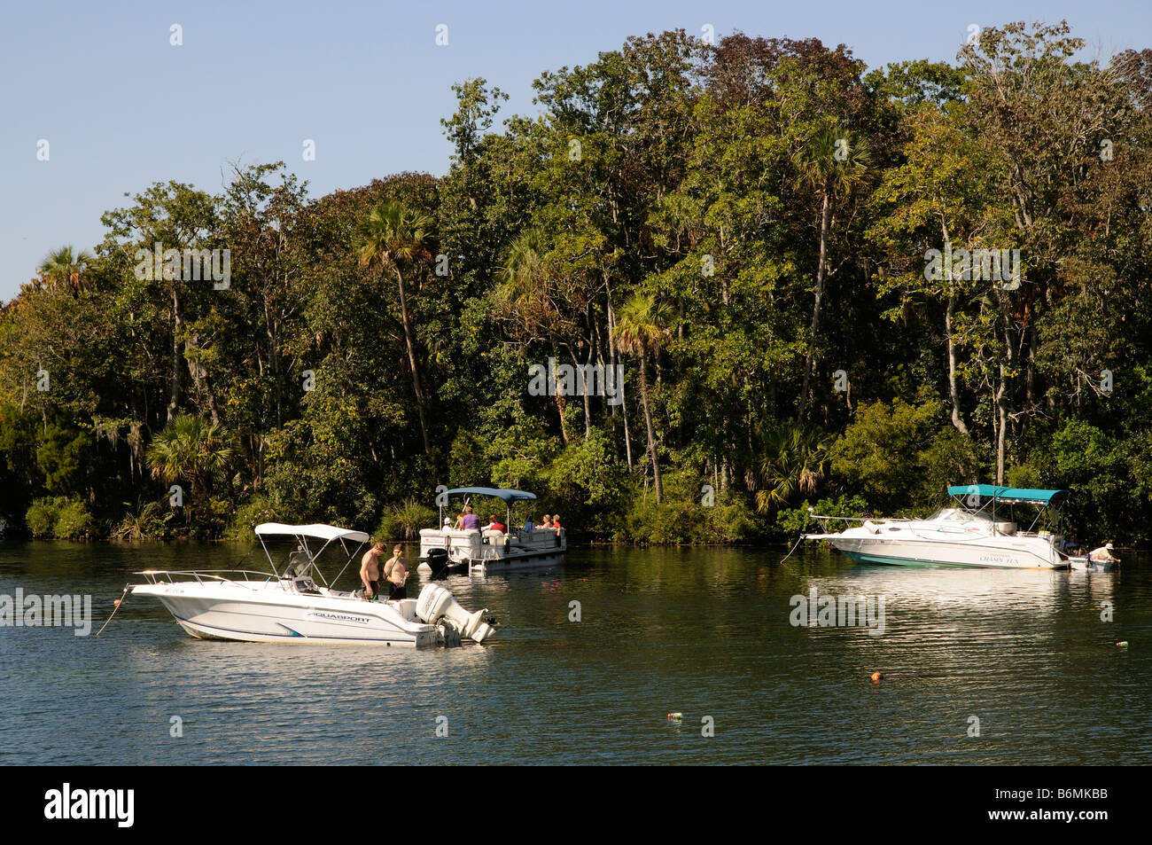 Boating on Homosassa River west central Florida USA Stock Photo - Alamy