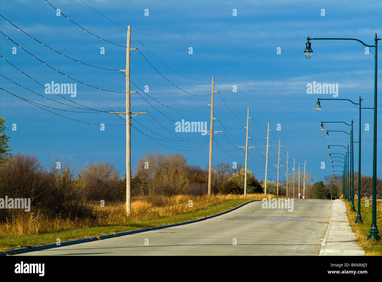 Road With Light Posts And Telephone Poles, Larchwood Iowa, USA Stock Photo