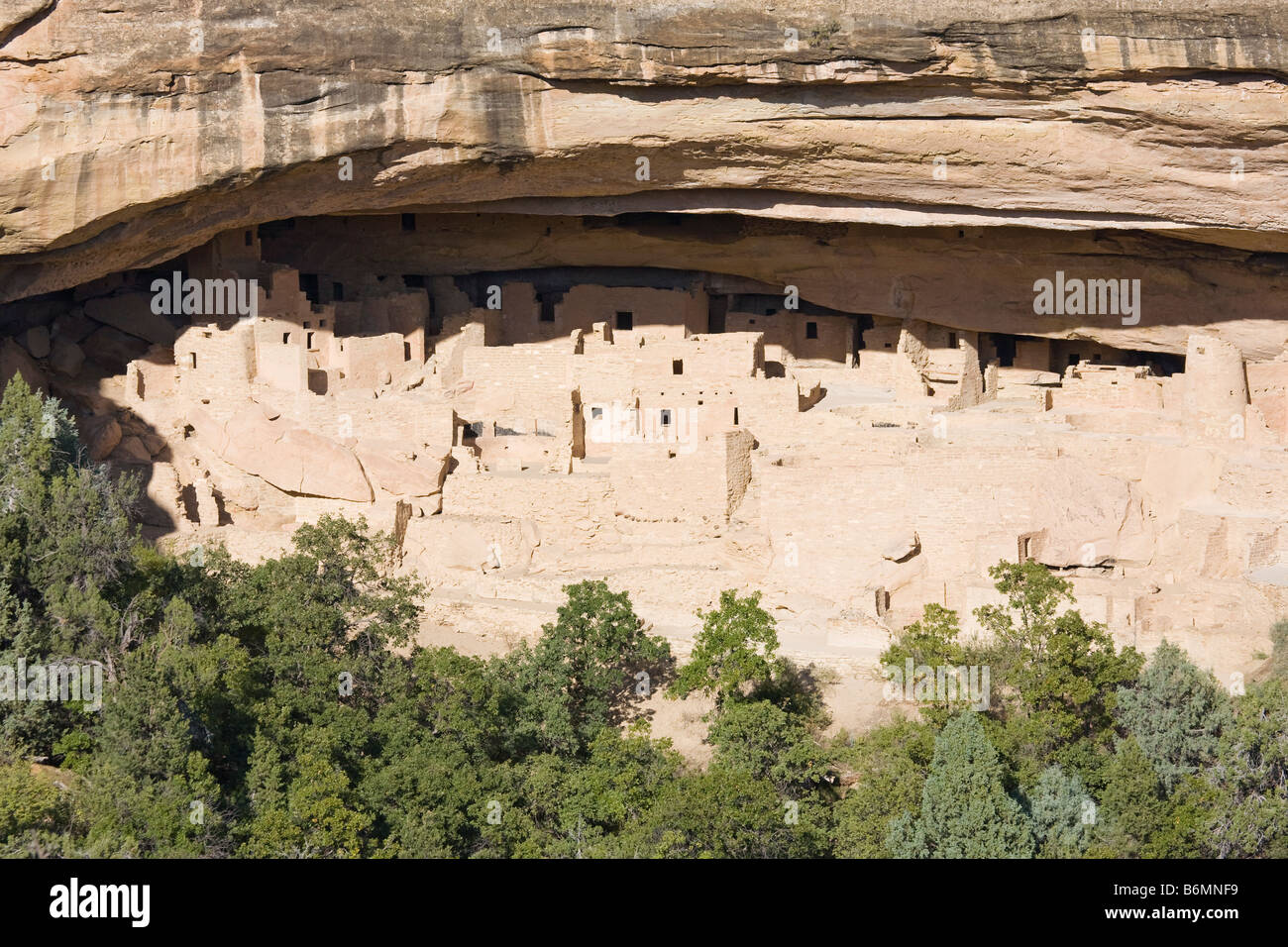Cliff Palace, Mesa Verde National Park in Colorado, USA Stock Photo - Alamy