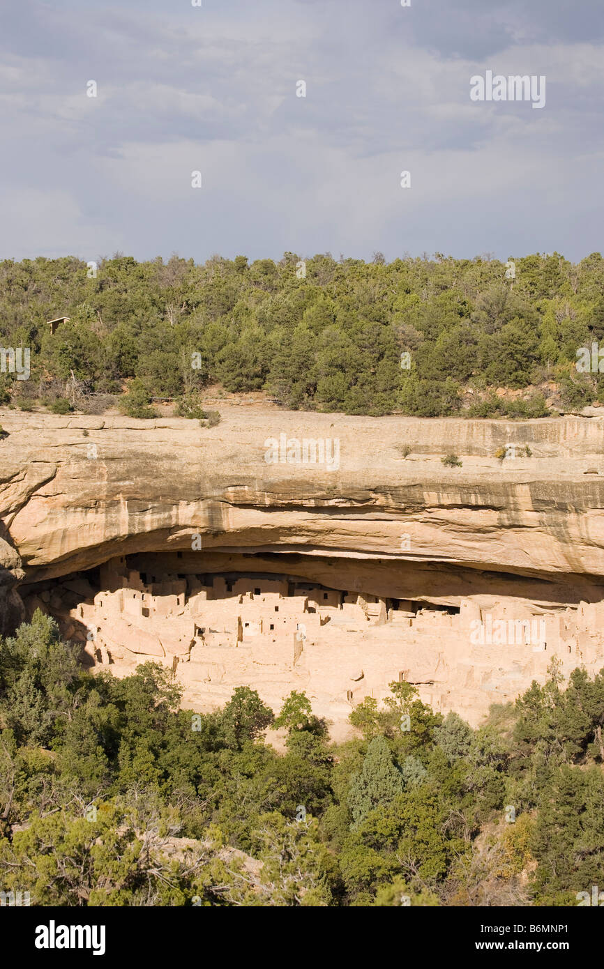 Cliff Palace, Mesa Verde National Park in Colorado, USA Stock Photo - Alamy