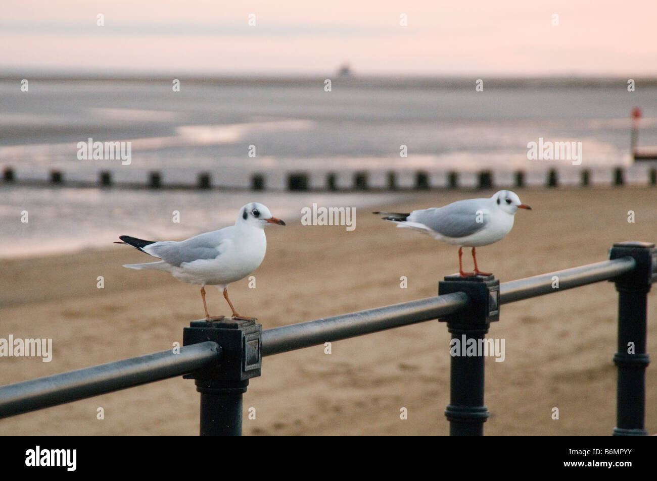 Deserted Rundown Seaside Town English Sea Side Empty Beach - 