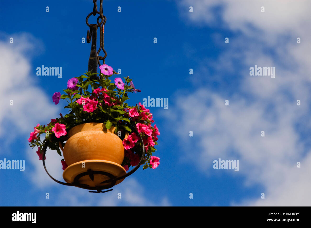 Flower pot hanging from the roof France Pyrenees Stock Photo