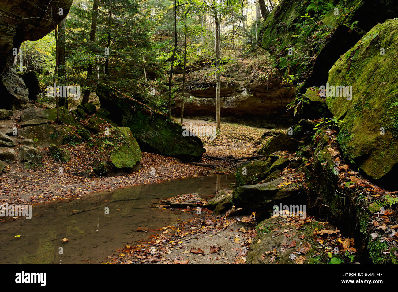 Rocky Hollow with Moss Covered Boulders in Turkey Run State Park